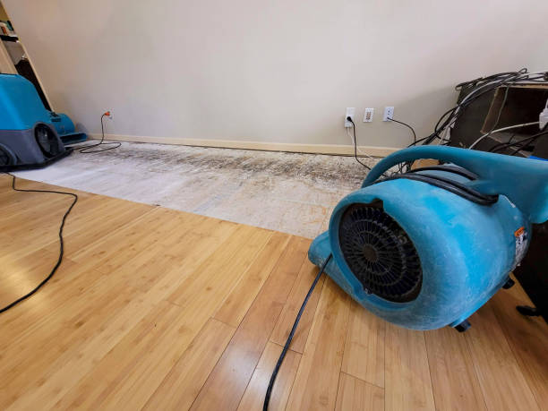 Professional Water Damage Repair technician working in Gilliam, MO